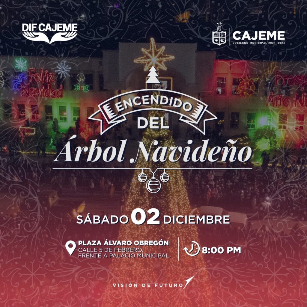 ¡Vive la magia de las fiestas decembrinas con el encendido del arbolito navideño!